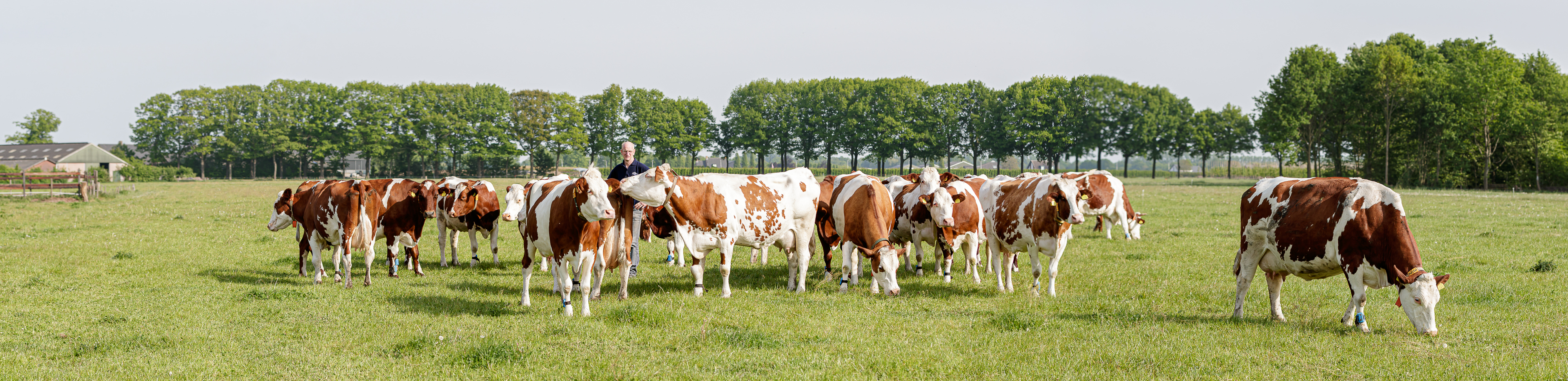 Ijshoeve Uijlenborch, Hannie Verhoeven Fotograaf-046
